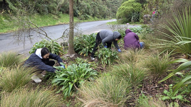 20260715_103118-anzvolunteer